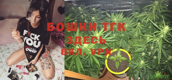 spice Аркадак