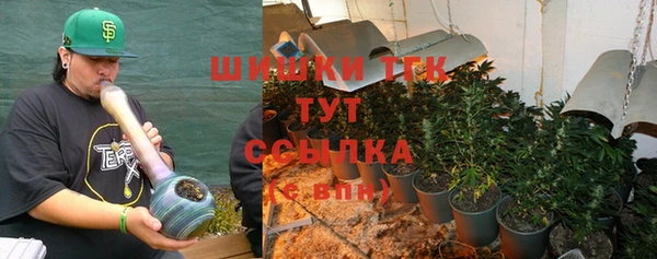 spice Аркадак