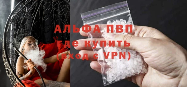 spice Аркадак