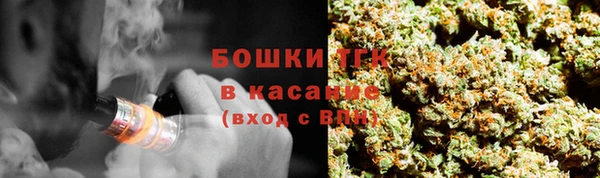 spice Аркадак